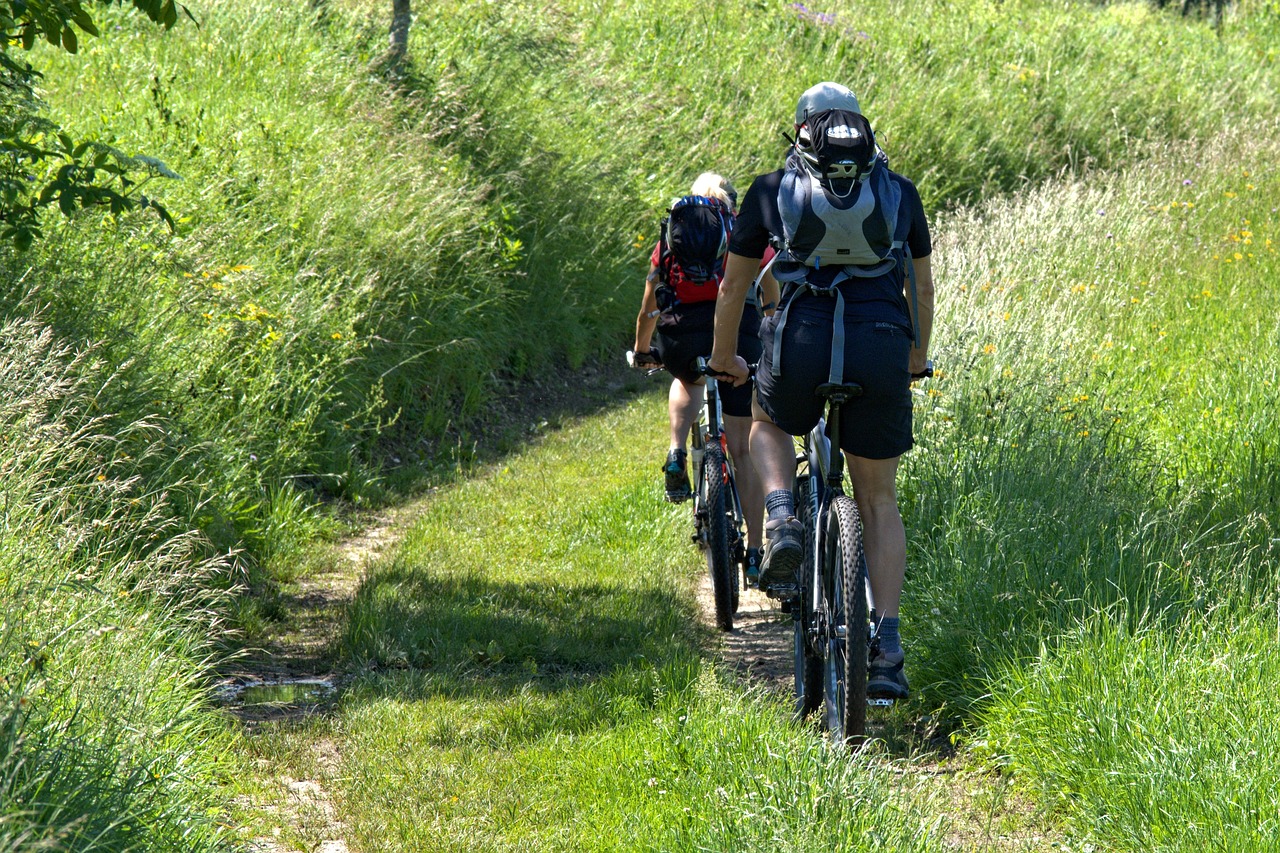 cyclist, nature, meadow-1445700.jpg